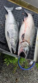 Soldotna Report Photo 1