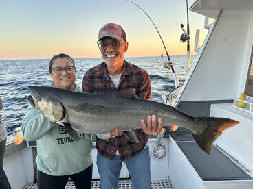 Gaint King Salmon