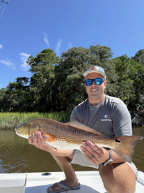 Edisto Beach Report Photo 2