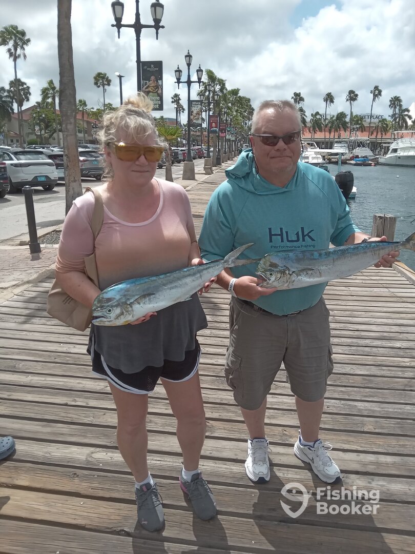 Aruba Report Photo 0