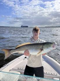 Jacksonville Report Photo 2