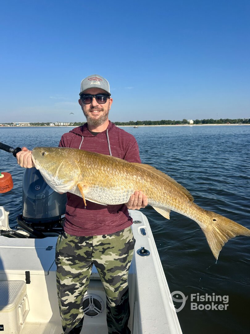 Biloxi Report Photo 0