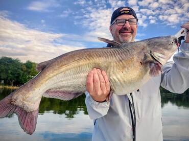 Big Blue Catfish