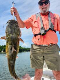 Nice Flathead