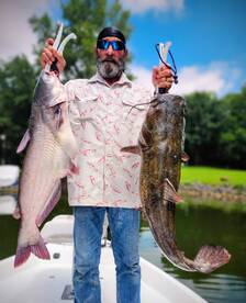 Doubled up Big Blue & Flathead