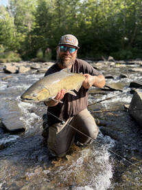 Oswego County Report Photo 4