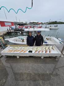 South Florida Report Photo 2