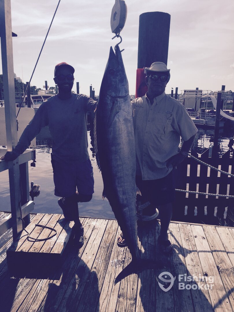 Orange Beach Report Photo 0