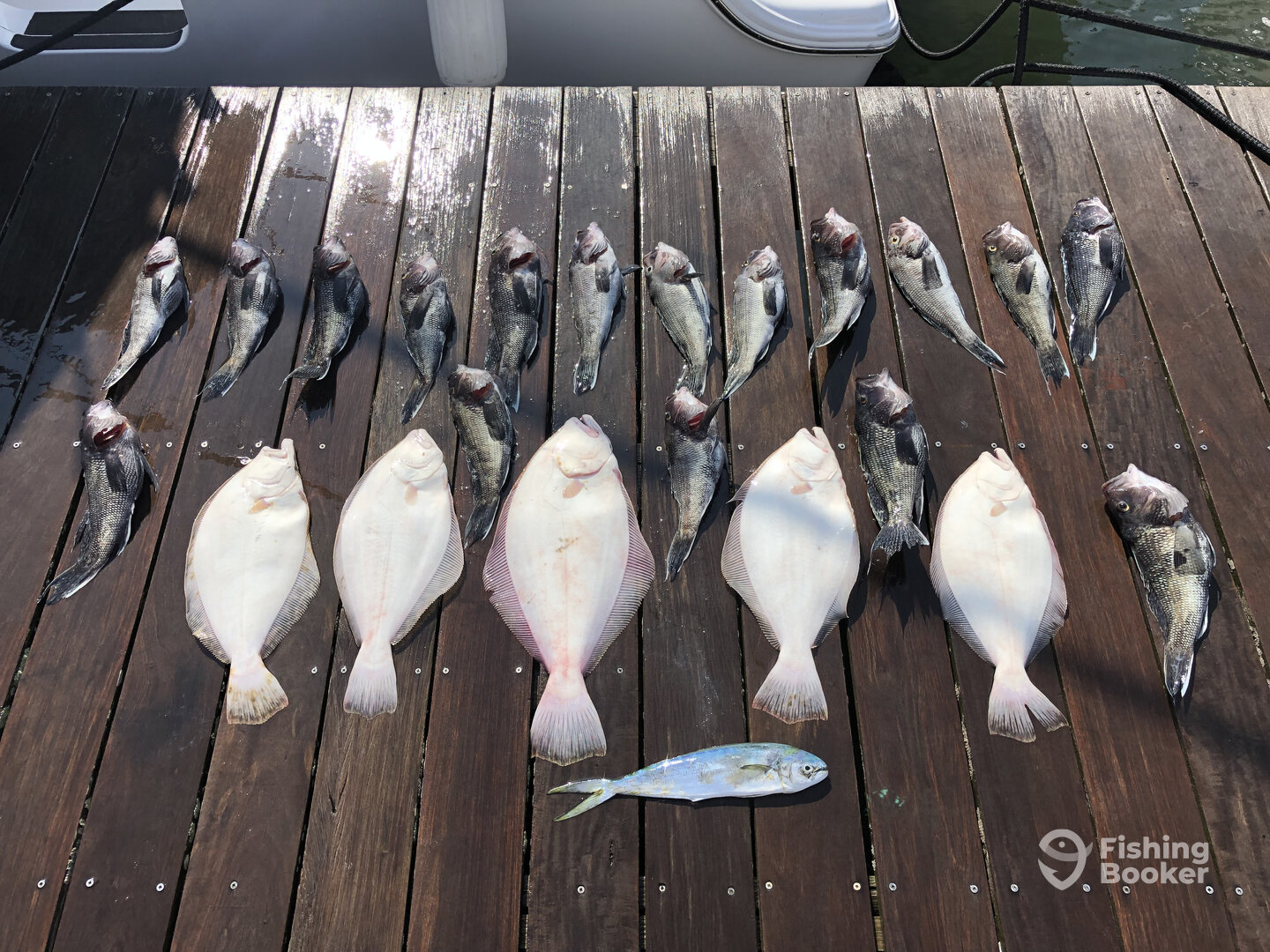 Indian River Inlet Report Photo 0