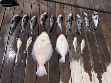 Indian River Inlet Report Photo 1