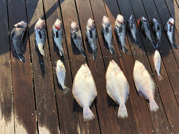 Indian River Inlet Report Photo 2
