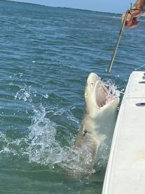 Key West Report Photo 1