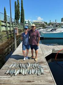 Spanish and Blues and Sharks .