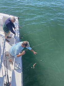 Nags Head Report Photo 2