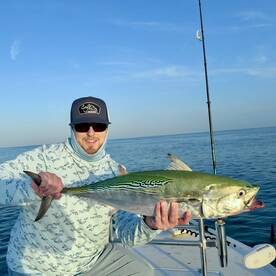 Sep 4th - Clearwater Beach Report: Bait 