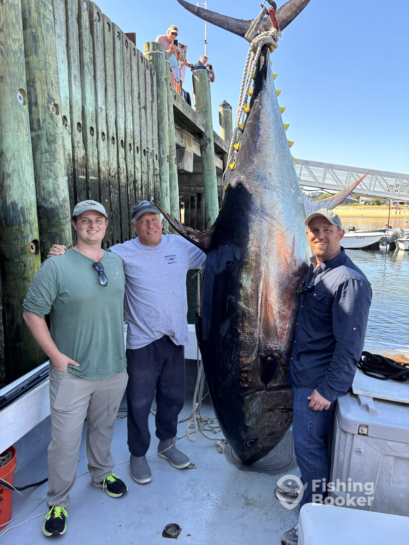 Provincetown Report Photo 0