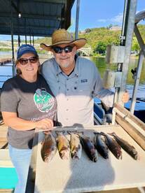 Afternoon Generation again today. 