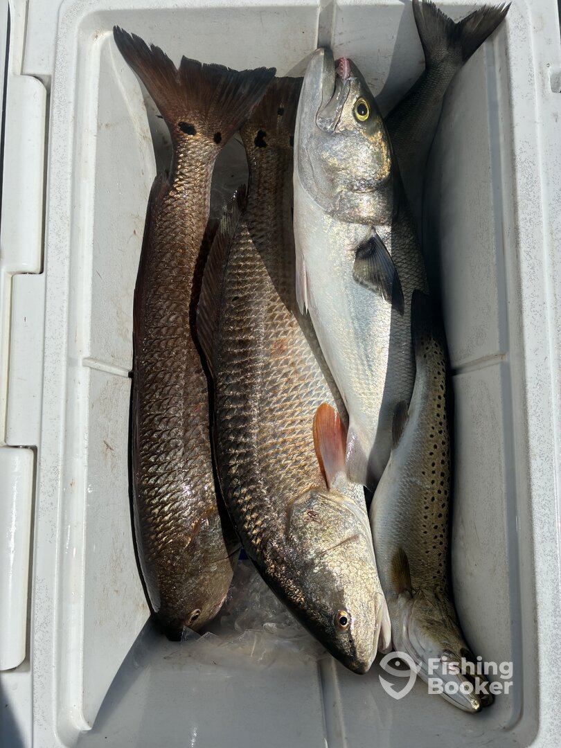 Nags Head Report Photo 0