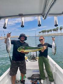 Gulf of California Report Photo 3