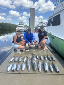 Dania Beach Report Photo 1