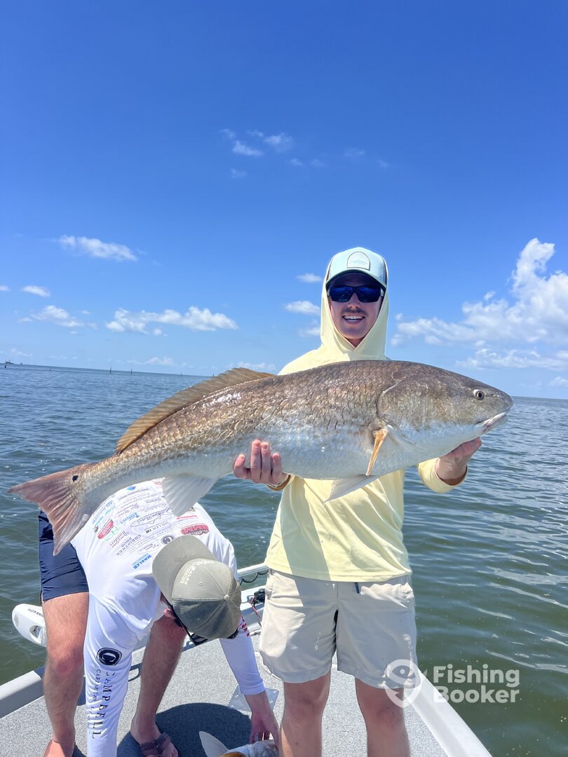 Venice Report Photo 0