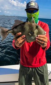 Anna Maria Report Photo 2