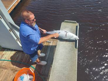 Carolina Beach Report Photo 1