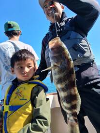 Dana Point Report Photo 2