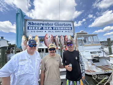 Biloxi Report Photo 1