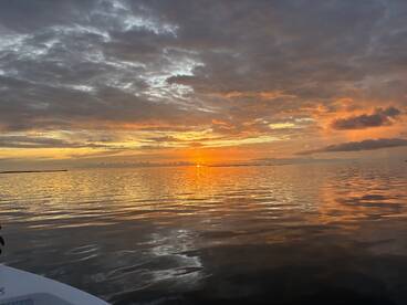 Big jacks on live esss