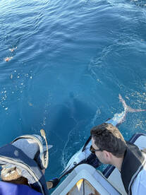 Faro District Report Photo 2