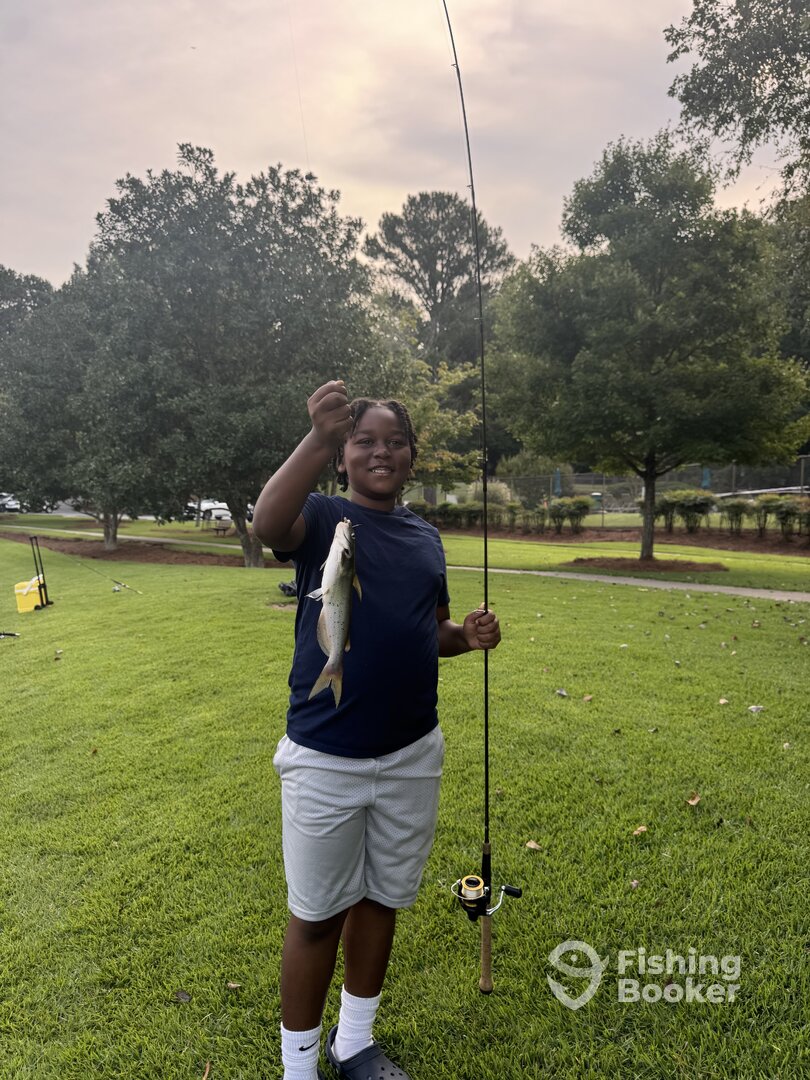 Atlanta Report Photo 0