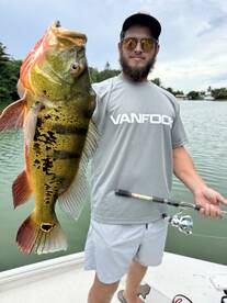 Peacock Bass in Miami is on Fire! ?