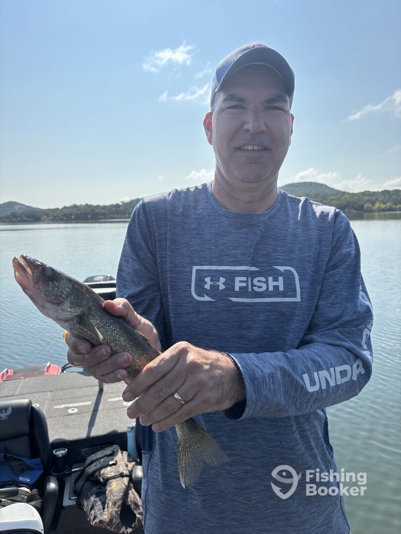 Branson Report Photo 0