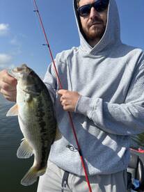 Branson Report Photo 2