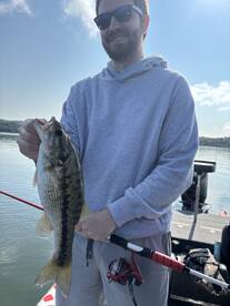 Branson Report Photo 1