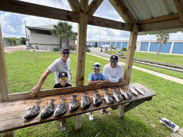 Galveston Report Photo 2