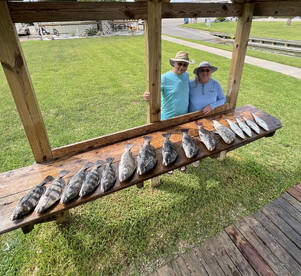 Galveston Report Photo 1