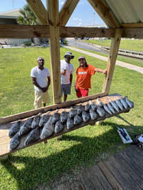 Galveston Report Photo 1
