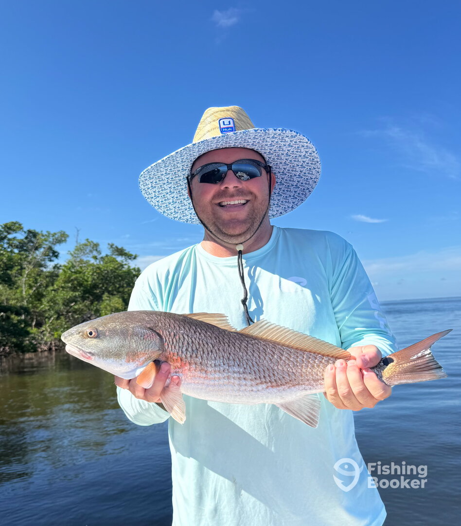 Punta Gorda Report Photo 0