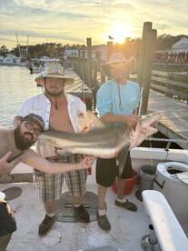 Black tip
