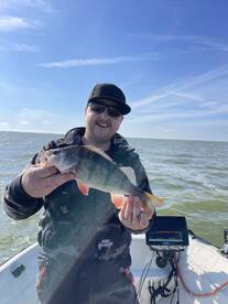 Fishing for perch and good numbers