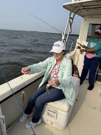 Bellevue Report Photo 2