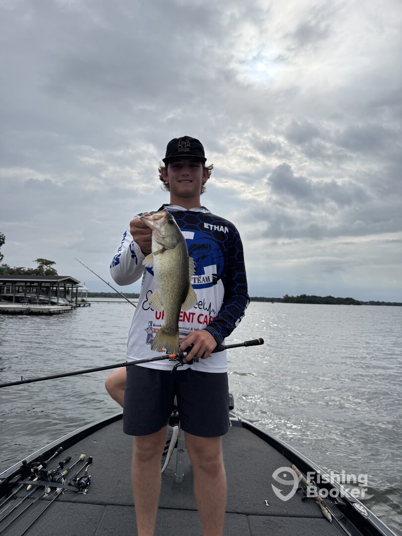 Lake Travis Report Photo 0
