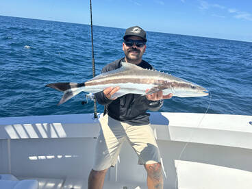 Jacksonville Report Photo 1