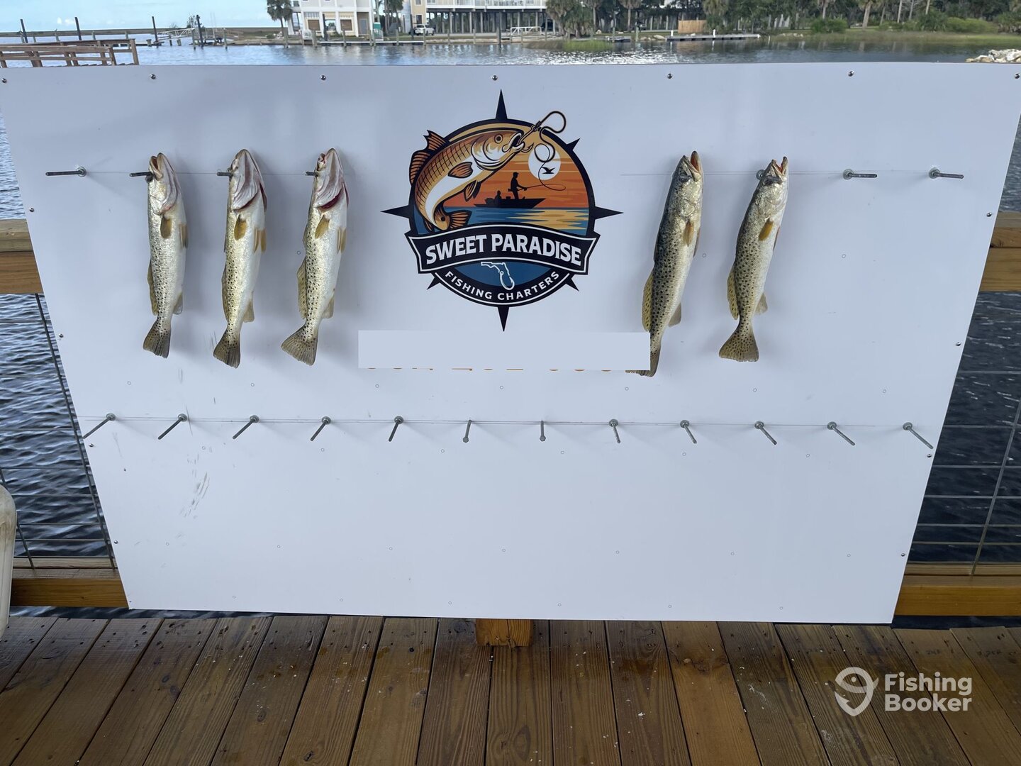 Steinhatchee Report Photo 0