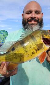 Delray Beach Report Photo 2