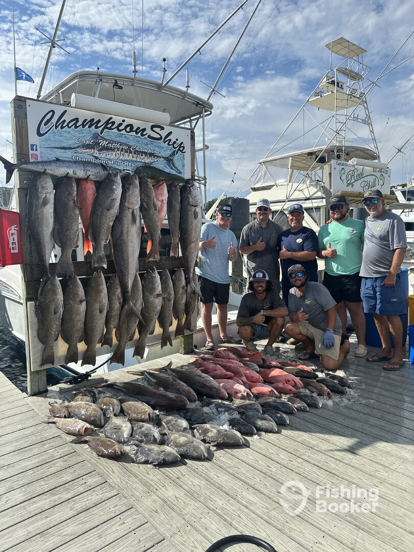 Harborwalk Marina Report Photo 0