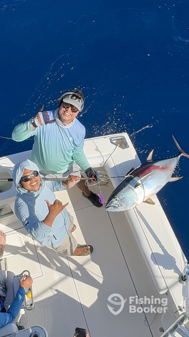 Cabo San Lucas Report Photo 0