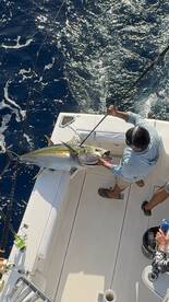 Cabo San Lucas Report Photo 1